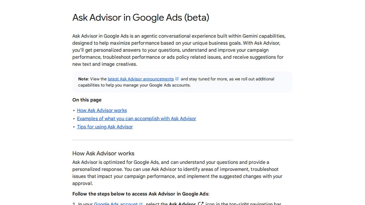 Az Ask Advisor Google Ads súgóoldalának képernyőképe